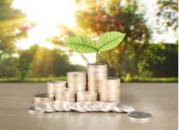 探究牛策略股票配资平台：投资回报率与资金运作大揭秘